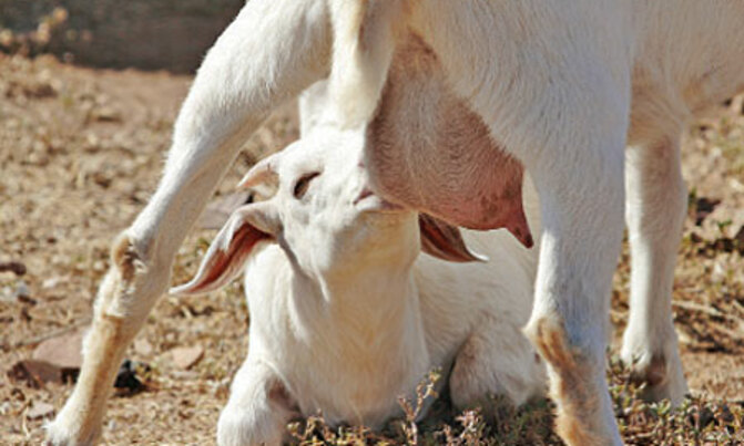 What farmers say and ask What farmers say and ask