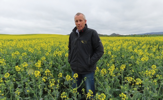 Variety choice underpinning IPM approach to clubroot risk management