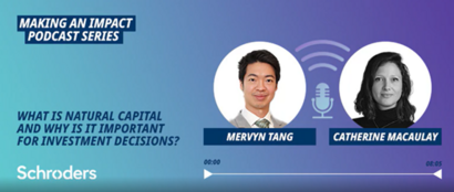 Investors must turn their attention to natural capital 