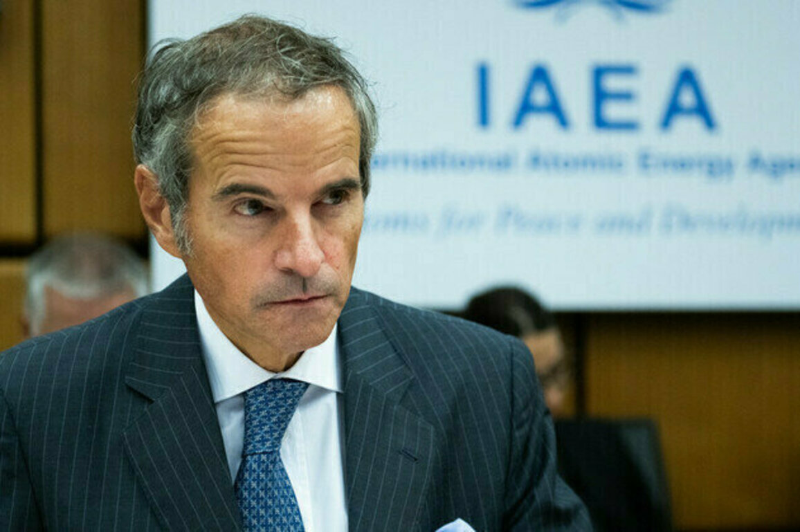 Nuclear watchdog chief vying for UN leadership role