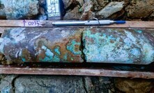 Testemunhos sondagem projeto Luanga, da Bravo, PGM Cobre Níquel