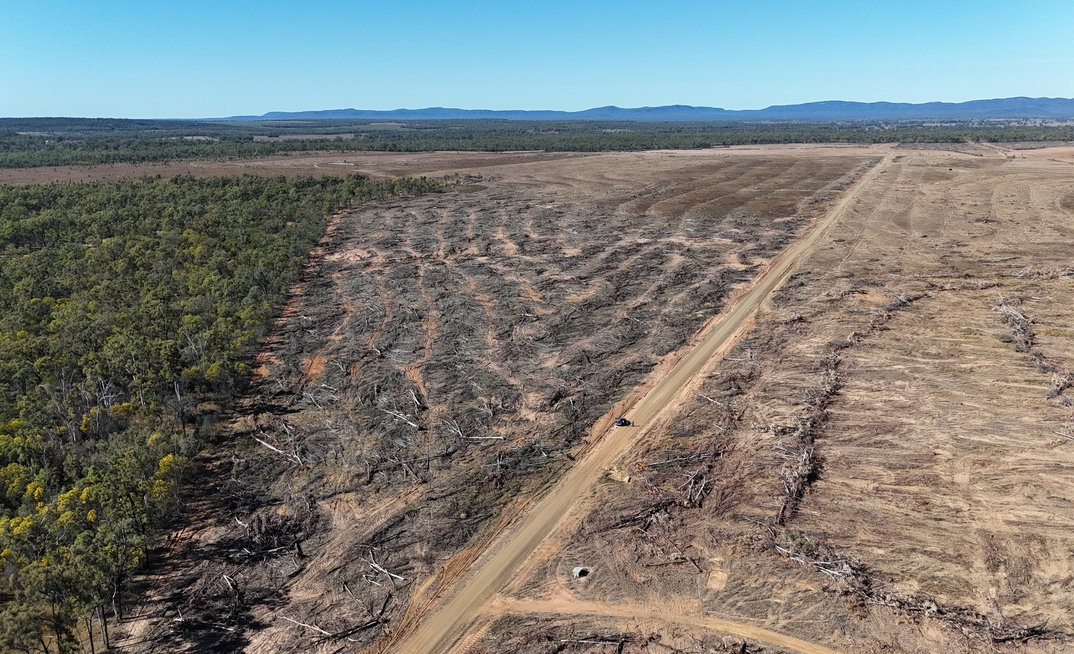 Drone footage shows at least 200 hectares of land has been cleared at the Gemini project.