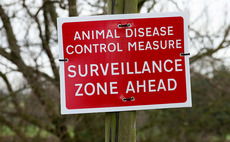 Avian Influenza confirmed - What's next?