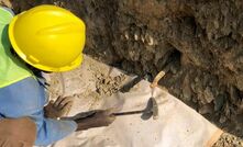 Oriole accelerates in Cameroon