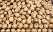 Farmer fined after covering road with potatoes, mud and silt