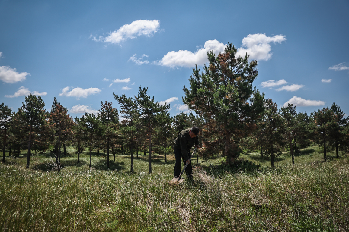 CHINA-LIAONING-FUXIN-DESERTIFICATION CONTROL-TWO GENERATIONS (CN)