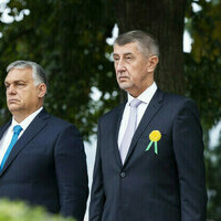 Orban congratulates Czech election frontrunner