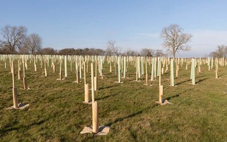 Government promises £4m boost through forestry innovation funds
