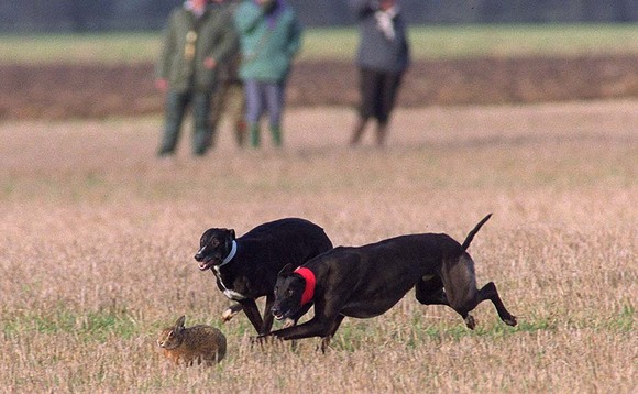 New hare coursing law 'inadequate' as police still face upfront kennelling costs