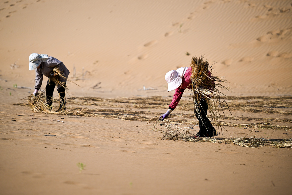 (EcoChina)CHINA-INNER MONGOLIA-HANGJIN BANNER-SAND CONTROL PROJECTS(CN)