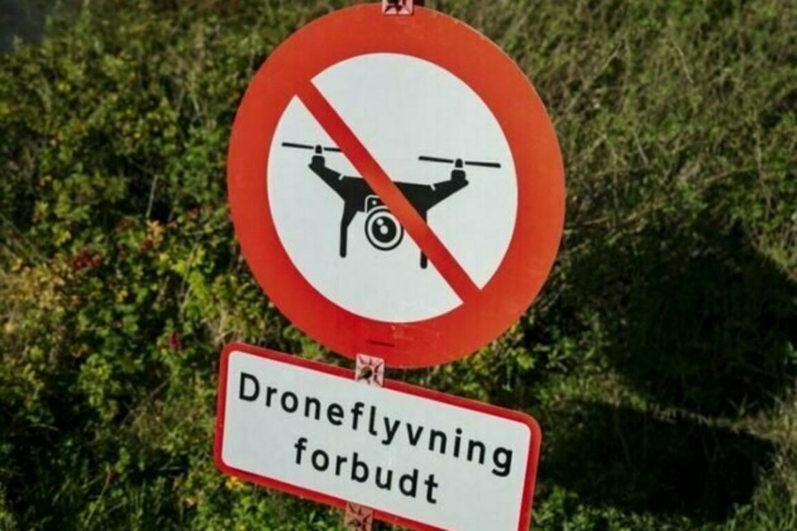 Danes grapple with hybrid attacks, as complete protection seems impossible