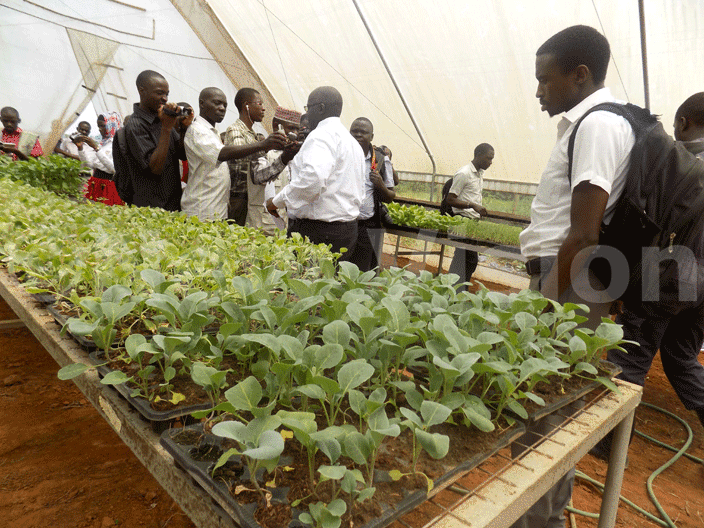 ournalists touring a ukuma iki nusery bed in one of the greenhouses at ampala apital ity uthority  griculture esource enter in yanja awempe division ampala district hoto by awrence ulondo