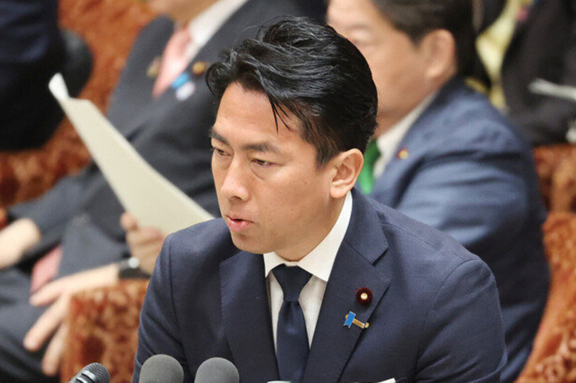 Japan deploys long-range 'counterstrike' missiles for the first time