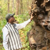 Union Min Dharmendra Pradhan pushes for world-class development of prehistoric 'Bhima Mandali' site