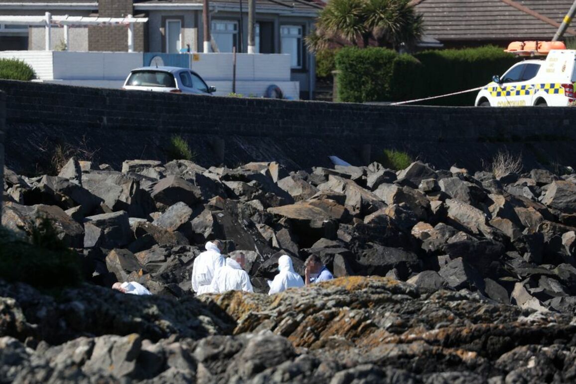 Body found on Millisle beach identified as PSNI issue update on investigation