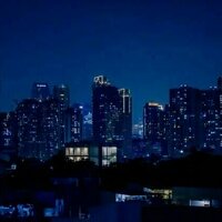 'Darkening' cities is as important for wildlife as greening them