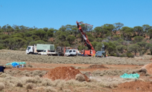 Greenstone on the hunt for gold stones near Coolgardie, WA