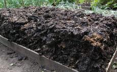 Can biological products cut costs without compromising crop yields?
