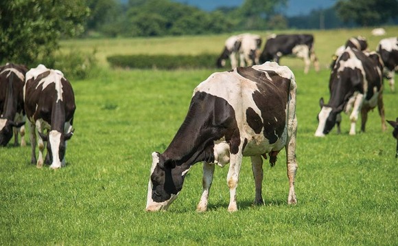 Dairy industry launches £1 million promotional campaign