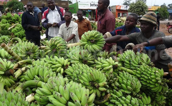 Abamu ku basuubuzi nga balaga amabidde ge basuubula kati mu kifo ky'amatooke Abamu ku basuubuzi nga balaga amabidde ge basuubula kati mu kifo ky'amatooke