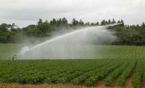 How are farmers coming together to better manage water resources?