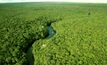 Amazônia em território brasileiro, no Amazonas.