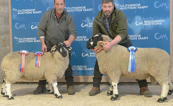 Champion Lonk sells for record 9,000gns at Clitheroe