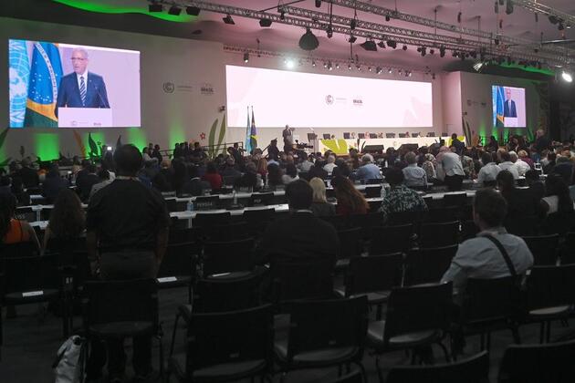 World Insights: Stronger South-South cooperation urged at COP30 to advance global climate governance
