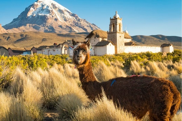 Bolivia's lithium sector lags behind its neighbours