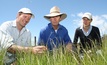 NSW DPI research boosts lamb production by 20%