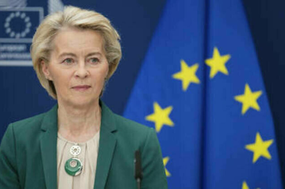 EU claim Russia blocked von der Leyen jet GPS is false - Flightradar