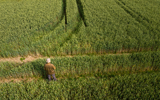 Over half of UK farmers adopting regenerative practices as climate pressures intensify
