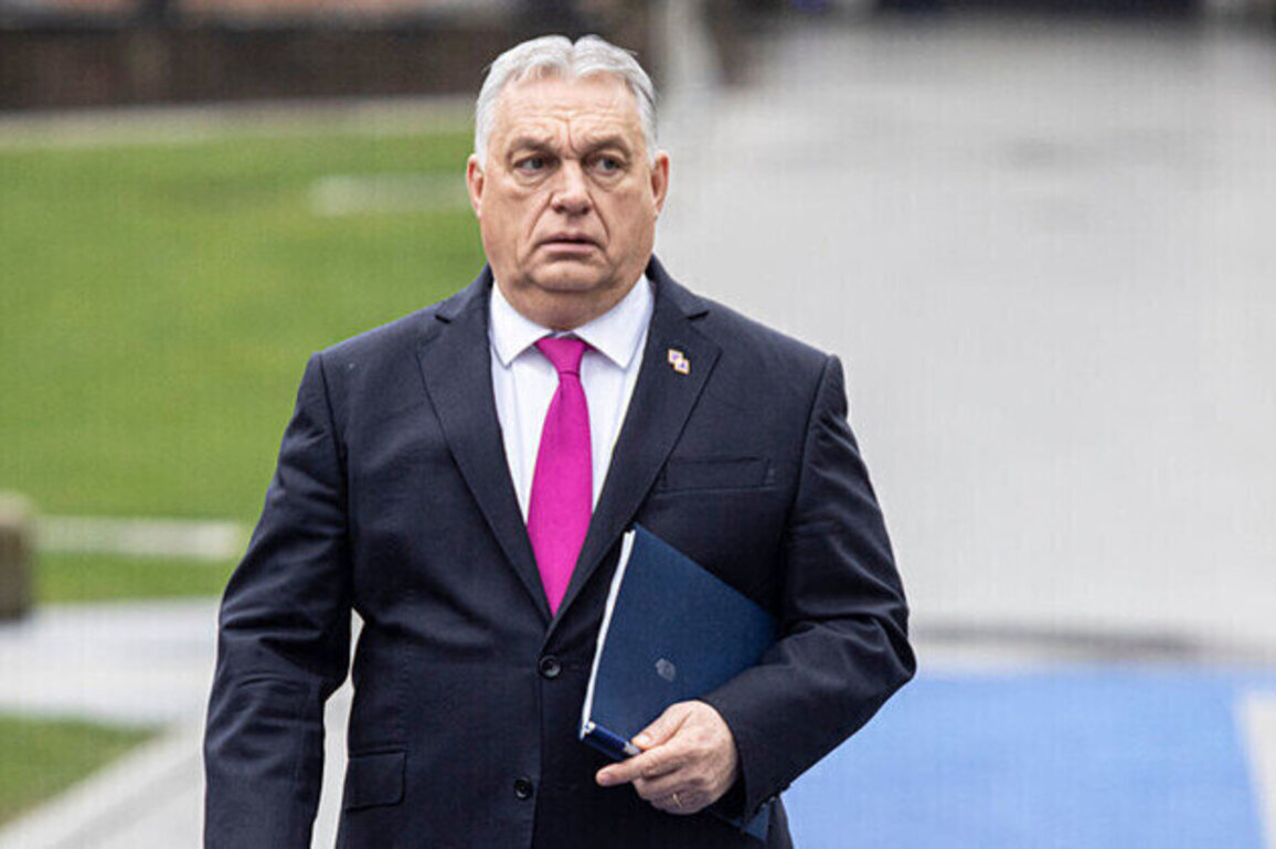 Orban slams Brussels as threat to Hungarys sovereignty