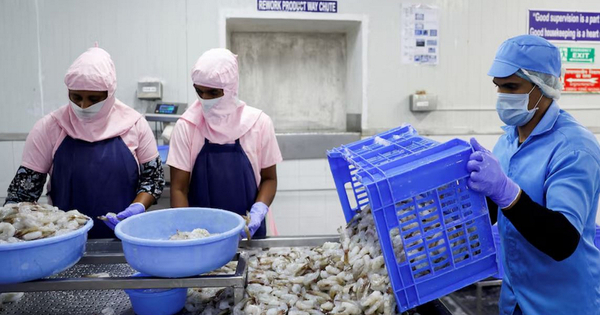 China emerges as key growth driver for India's frozen shrimp exports; US remains top market in FY26