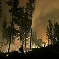 Boosting timber harvesting in national forests while cutting public oversight won't solve America's wildfire problem