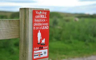 Dog owner pays farmers more than £11k after livestock worrying attack