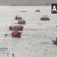 Uttar Pradesh: Siberian birds flock to Triveni Sangam, giving picturesque sight to visitors