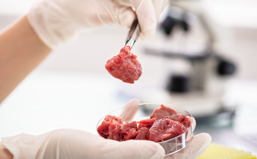 研究：Z世代のほぼ半分は、「実験室で栽培された」肉を食べると言っています