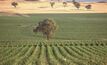 Shenhua buys land to create certainty