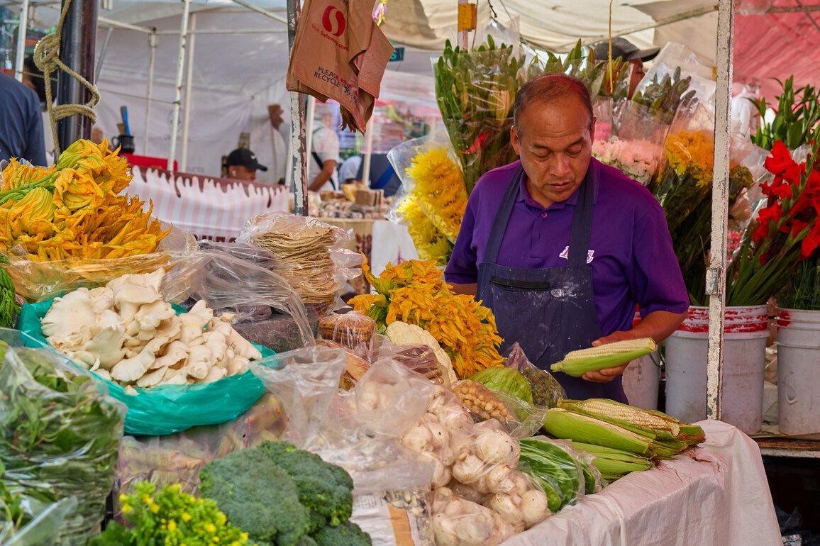 MEXICO-MEXICO CITY-TIANGUIS MARKET