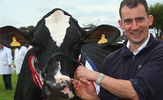Dairy Talk: Matthew Winter - 'The standard of cattle was the best yet'