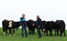 Partner Insight: Rotational grazing transforms beef enterprise 