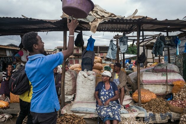 Madagascar &#039;anti-virus brews&#039; sell like hot cakes in local markets