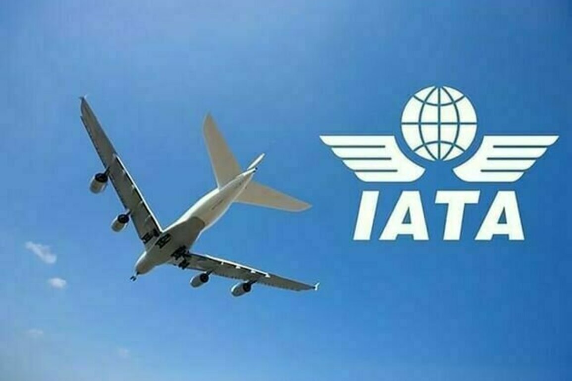 Aviation sector contributes 18.2% to UAE's GDP: IATA