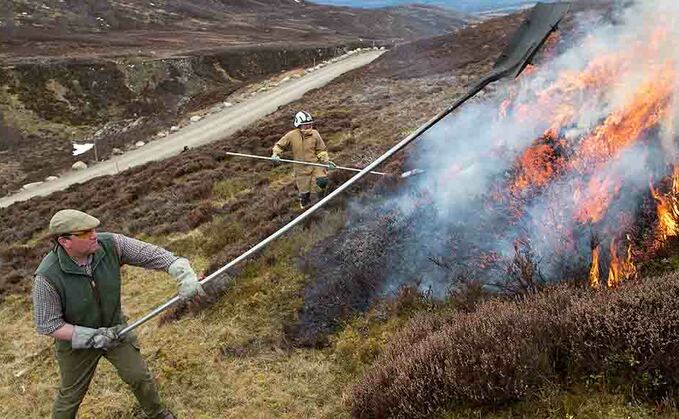 Backlash after RSPB urges public to report controlled burning