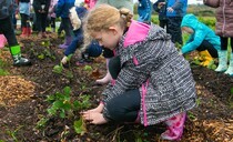 Education campaign ramps up - how can we really get farming into schools?