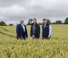 'Greener' whisky: Chivas Brothers toasts plans for new low-carbon fertiliser