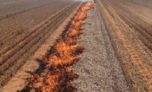 Narrow windrow burning