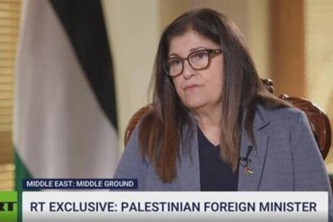 India could be mediator in Israel-Palestine conflict - FM