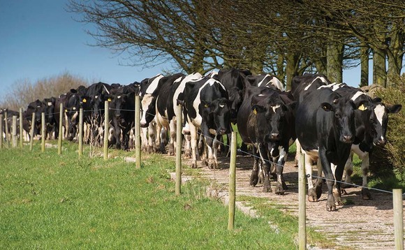 Investment in Welsh dairy to shorten supply chains